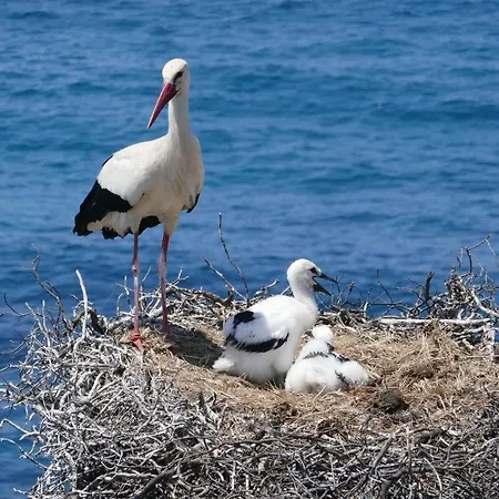 Appartement 57 Bee Marina - Boutique Hideaway With Pool Lagos